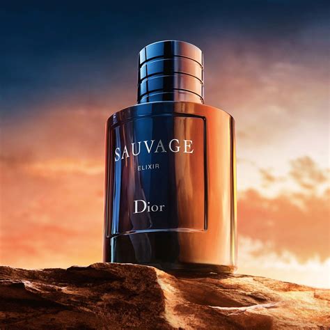 dior savage elixir dupe|dior sauvage elixir notes.